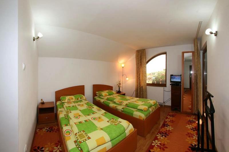 穆里吉奥尔Casa Nicu Murighiol的酒店客房设有两张床和窗户。