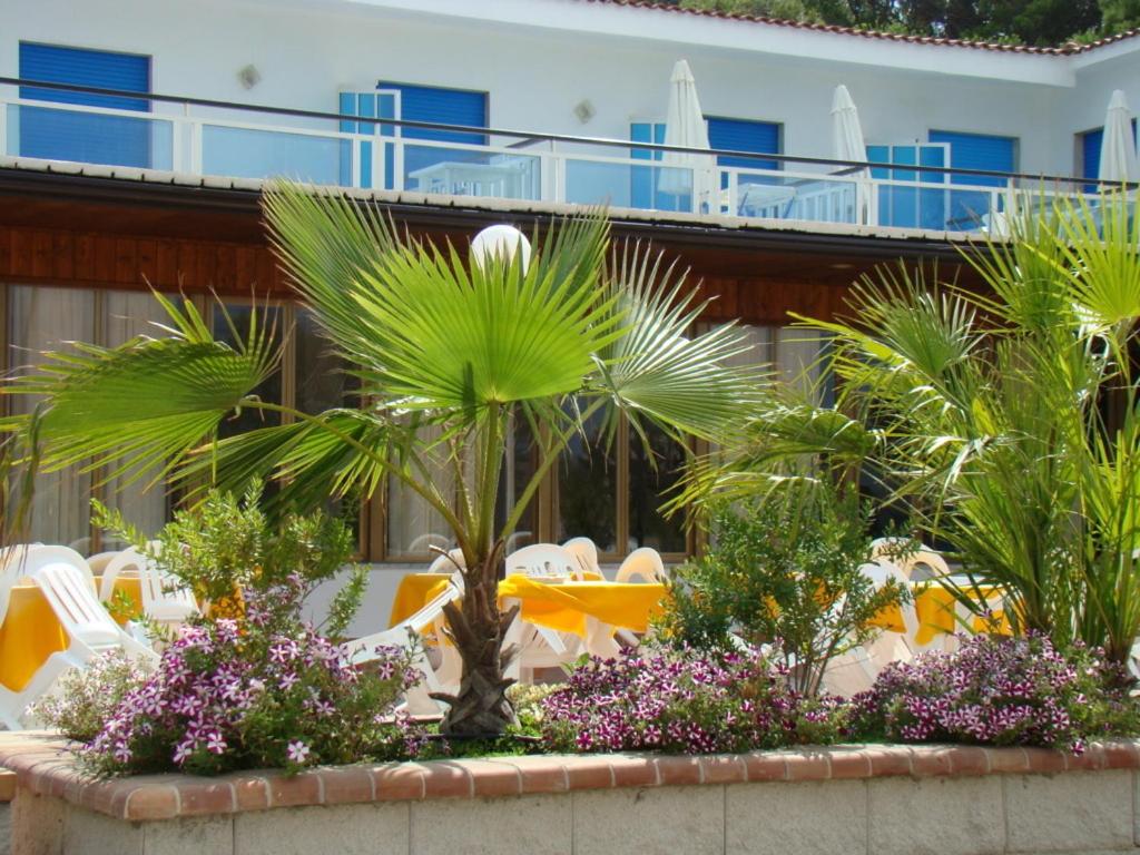 帕埃斯图姆拜亚德尔索尔酒店的棕榈树度假村