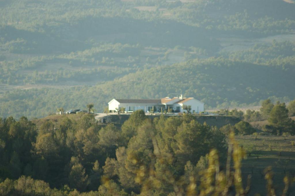 Parroquia de la FuensantaCasa Lamberdina的树上山顶的房子