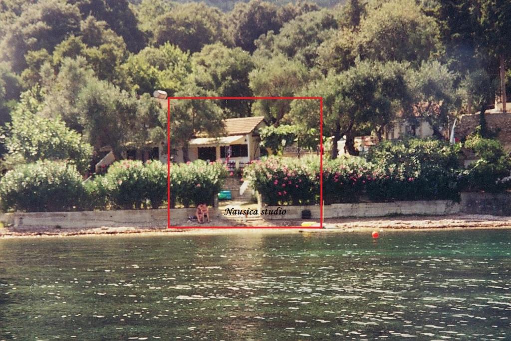 Agia Pelagia ChlomouStudio Nausica... a sense of paradise!的水体岸边的房子