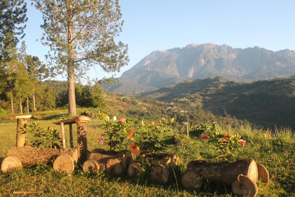 昆达桑Jabez Resort Kundasang的花园内种有鲜花和山脉