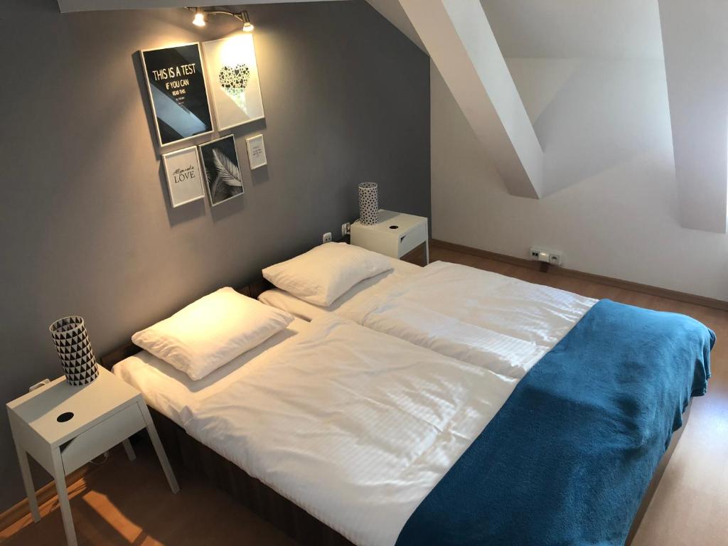 比得哥什比得哥什扎布拉1号公寓的一间卧室配有一张大白色床和蓝色毯子
