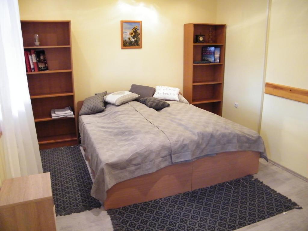 米什科尔茨Pál utcai Apartman Miskolc的一间卧室设有一张大床和书架