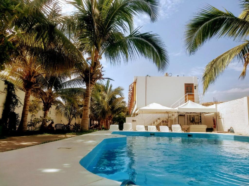 曼克拉Casavillamor的一座棕榈树游泳池和一座建筑