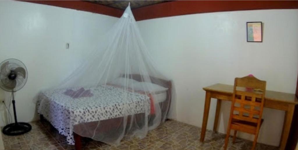 卢纳将军城九云家居宾馆的一间卧室配有一张带蚊帐的床