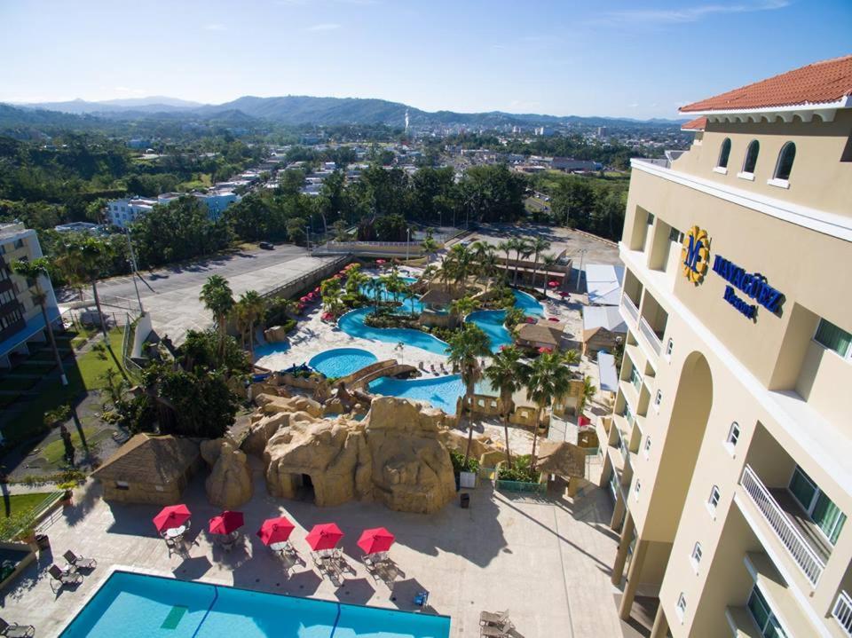 马亚圭斯马亚圭斯度假村和赌场度假酒店的享有带游泳池的度假村的空中景致