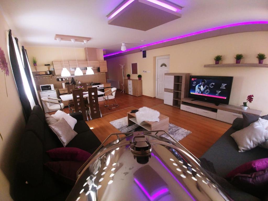 毛科Sarok Apartmanház的带沙发和电视的客厅以及厨房。
