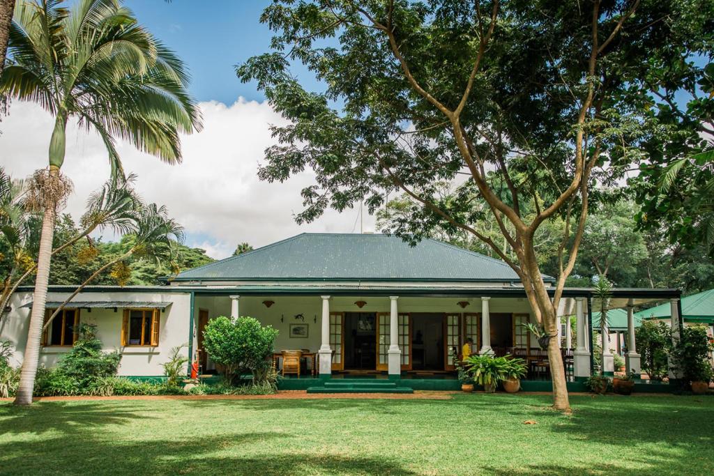 哈拉雷York Lodge的一座拥有绿色屋顶和棕榈树的房子