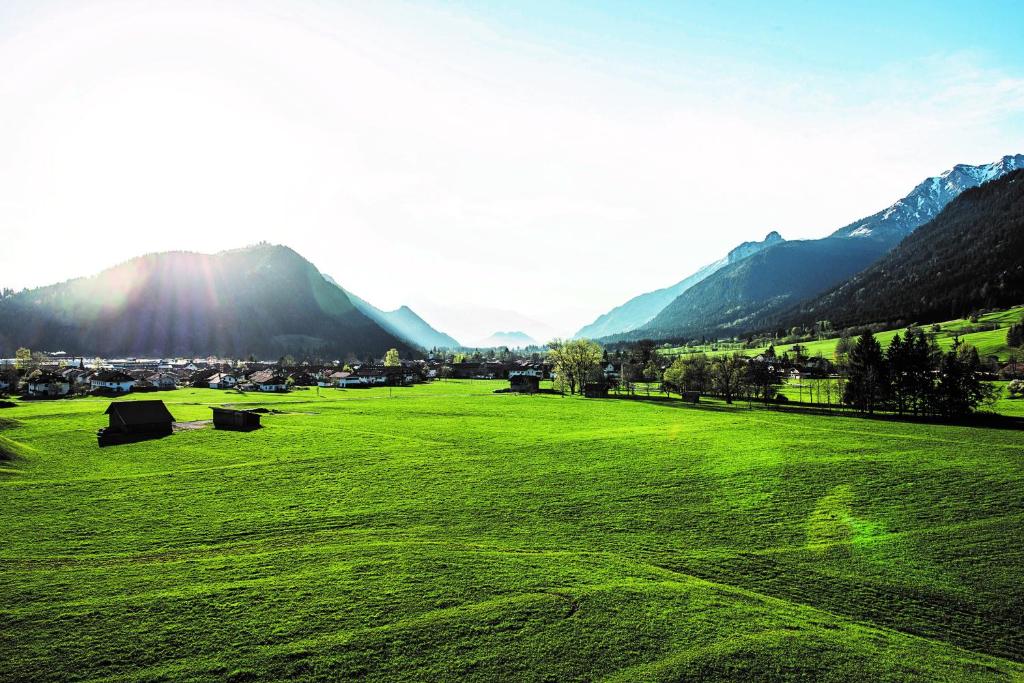 普夫龙滕Im Achtal, Mehr als Ferienwohnungen的一片绿草丛,山地背景