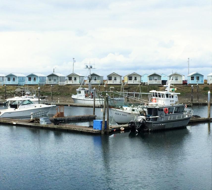 韦斯特波特Westport Marina Cottages的两艘船停靠在水面上的码头