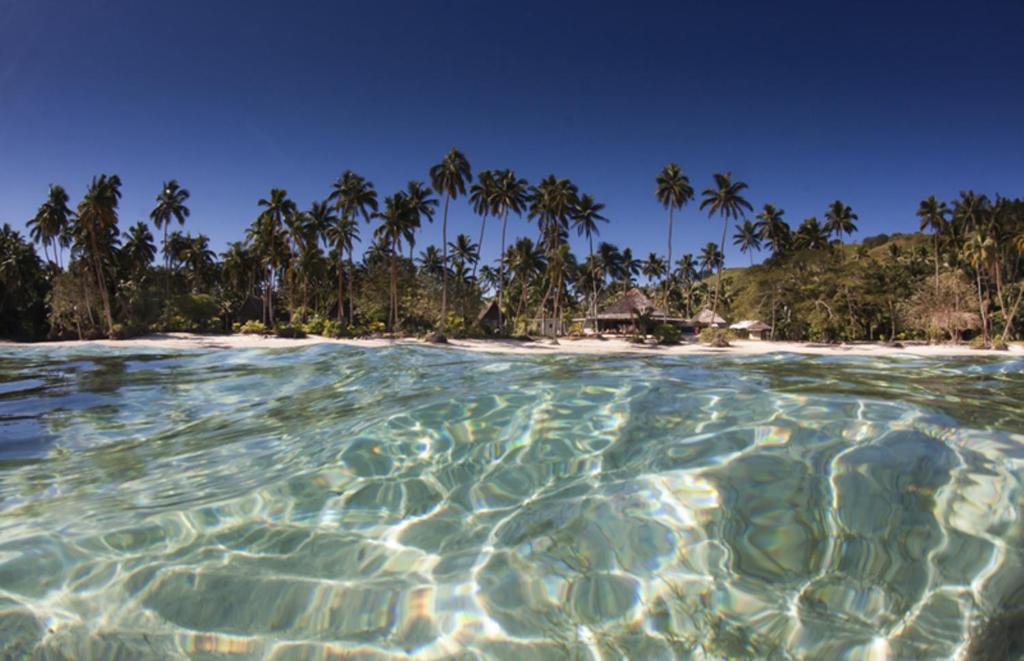 纳玛塔库拉芒果湾度假村的享有海滩和水中棕榈树的景色