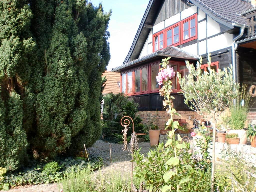 吕本瑙Auf "Kleine Wiesen"的房屋前的花园