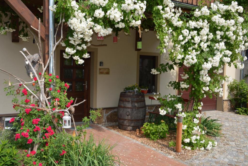 包岑Ferienappartements "Landromantik"的一座种有白色花卉和桶的花园