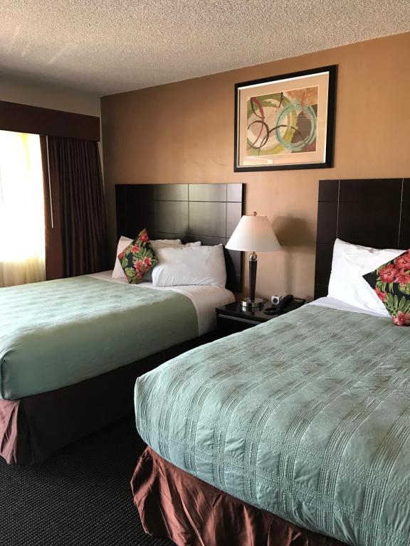 莫罗贝莫罗克里斯特旅馆的酒店客房,设有两张床和一盏灯
