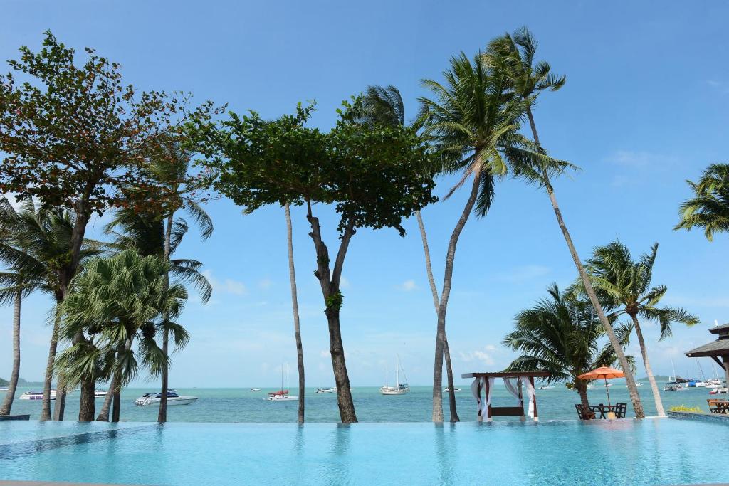 班拉克海滩Samui Mermaid Beachfront的棕榈树海滩旁的游泳池