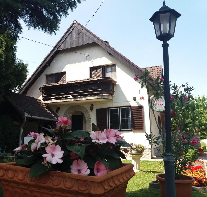 扎马迪Villa Suzy的街道灯前有花盆的房子