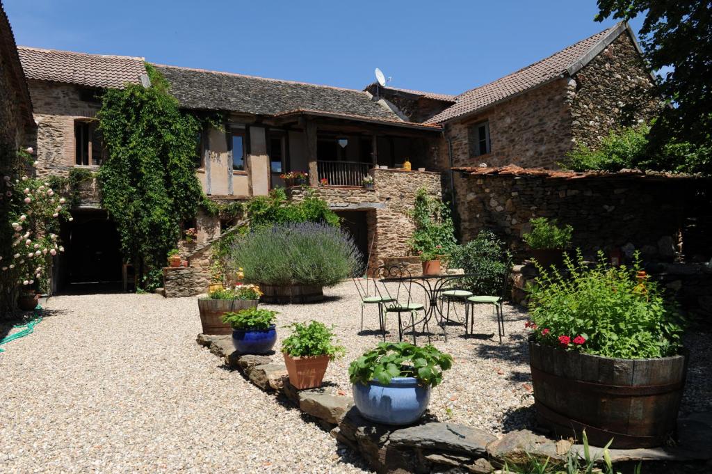 Mirandol-Bourgnounac爱之井住宿加早餐旅馆的种有盆栽植物的房子的庭院