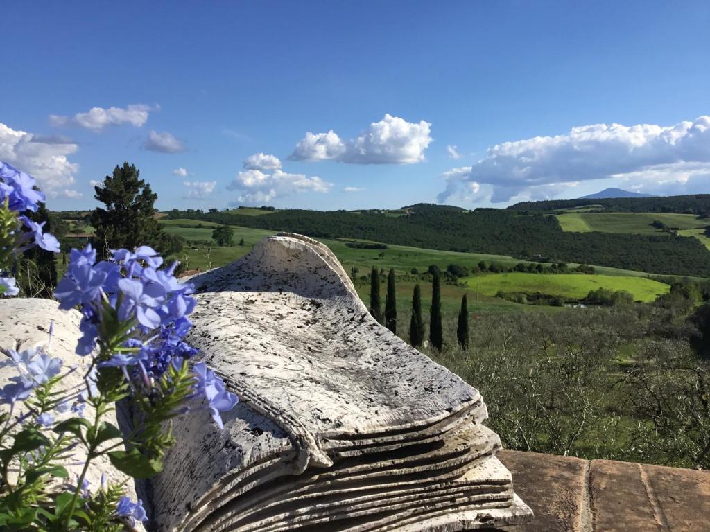 蒙特普齐亚诺Sant'Antonio Country Resort的鲜花石凳,享有田野美景