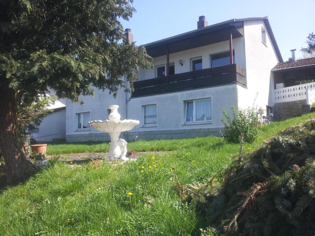 弗里茨拉尔Ferienwohnung Sauer的房屋前草上的白色喷泉
