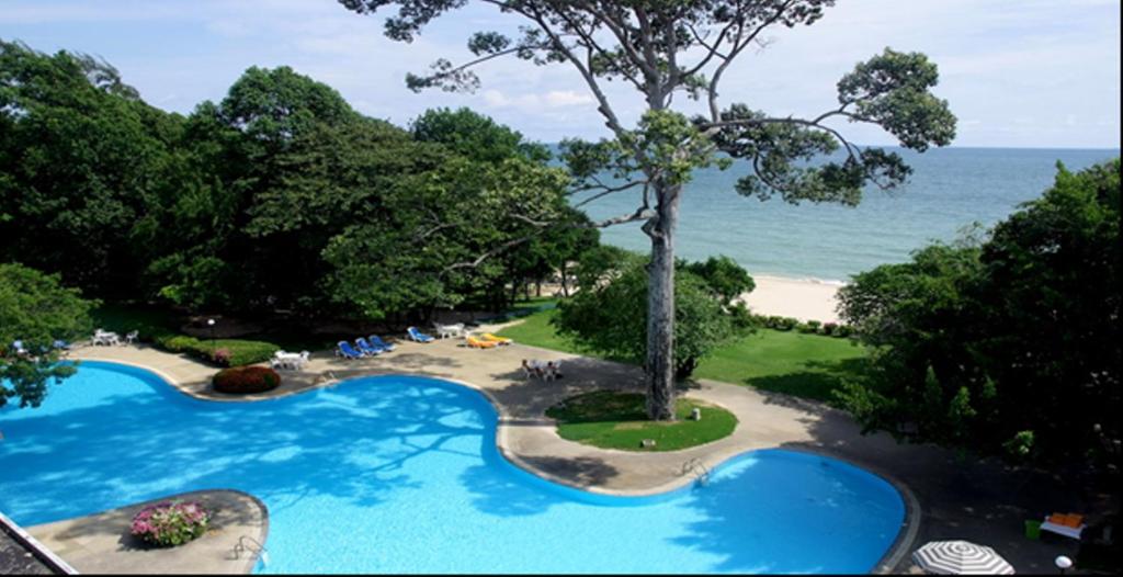 班昌普里马斯海滩水疗酒店的享有海滩旁游泳池的景色