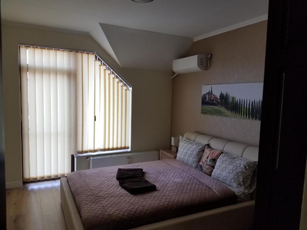 奥拉迪亚La Siesta Apartments Oradea的一间卧室设有一张床和一个大窗户