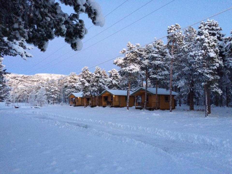 阿尔塔Solvang camping og leirsted的覆盖着树木的雪地小木屋