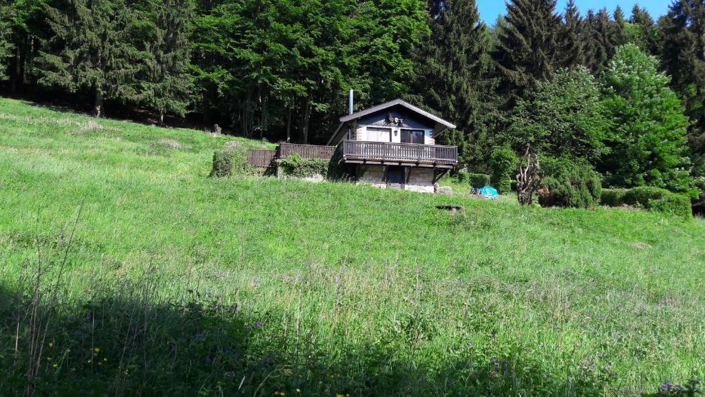 RotterodeFerienhaus Moosbachtal Thüringer Wald bei Oberhof的田野上山顶的房子