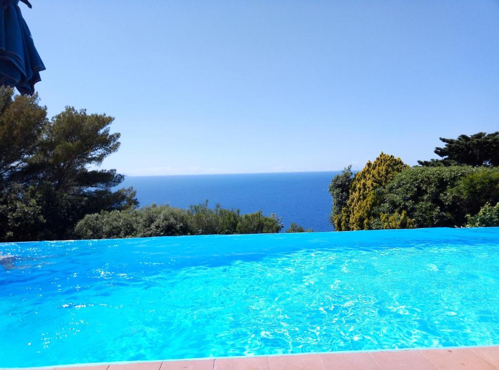 蒙泰亚尔真塔廖Porto S.Stefano CalaPiccola的蓝色的游泳池,背景是大海