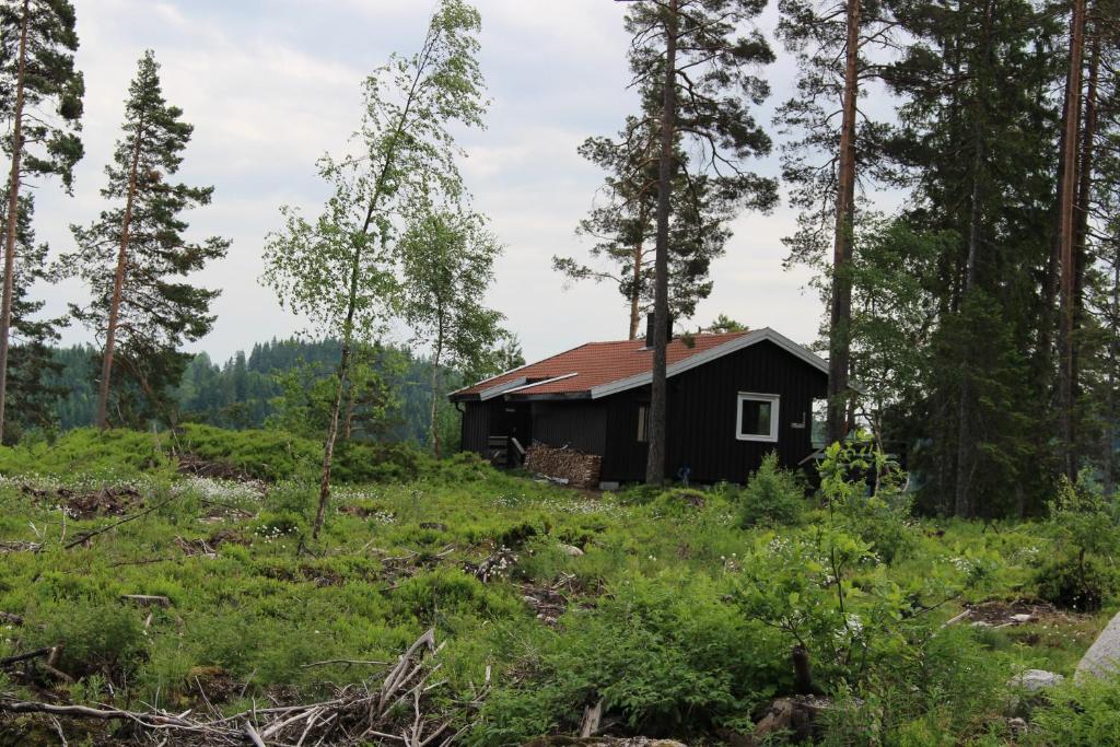 比尔克兰Fossheim Two-Bedroom Cottage的森林中树木繁茂的黑色小屋