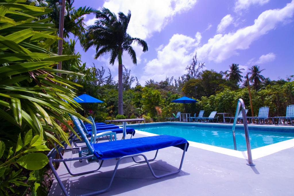 布里奇敦巴巴多斯棕榈园酒店的一个带蓝色躺椅的游泳池和一个游泳池