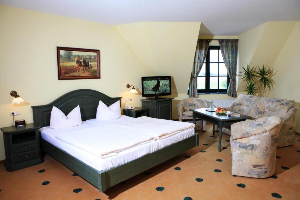 Gotthun格鲁纳鲍姆穆利兹乡村酒店的一间卧室配有一张床、两把椅子和电视