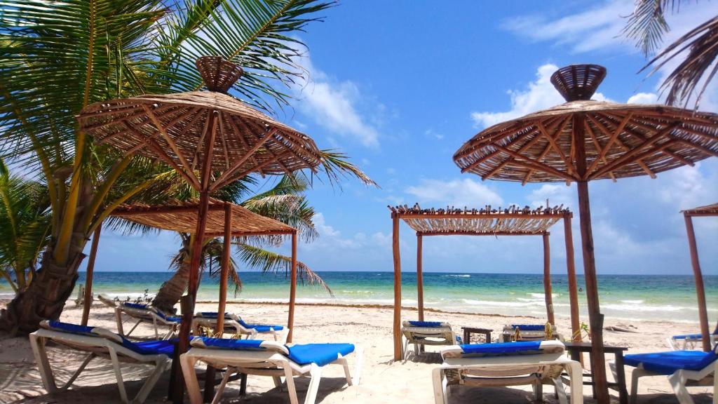玛哈威Almaplena Boutique Hotel的海滩上的一组椅子和遮阳伞