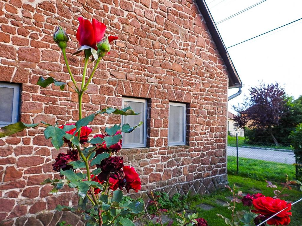 下厄尔什Lake Vendégház的砖楼前的红玫瑰灌木