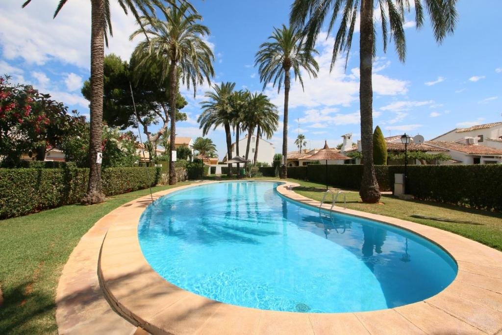 德尼亚Puerto Azul Casa Doro的周围环绕棕榈树的游泳池