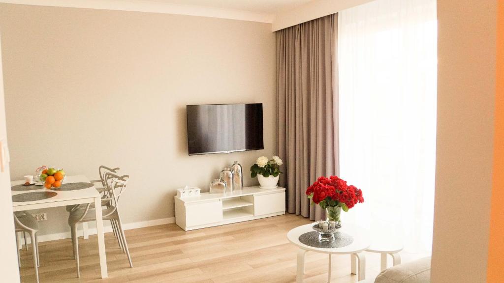 乔左维尔考普尔斯基Apartament Olimp的客厅配有桌子和墙上的电视