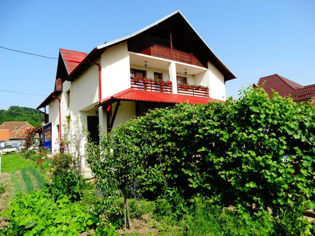 科尔贝尼Pensiunea Casa Elena的一座红色屋顶的房子和一个阳台