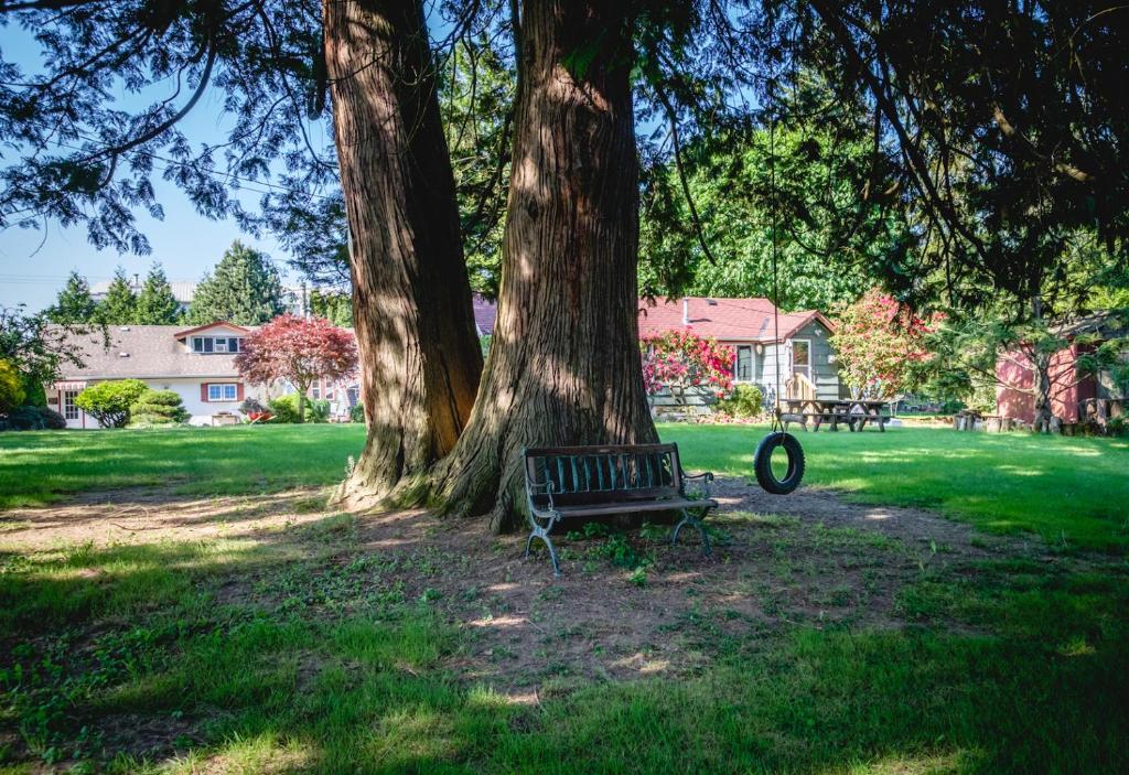 哈里森温泉Bramblebank Cottages的公园里树下的公园长凳