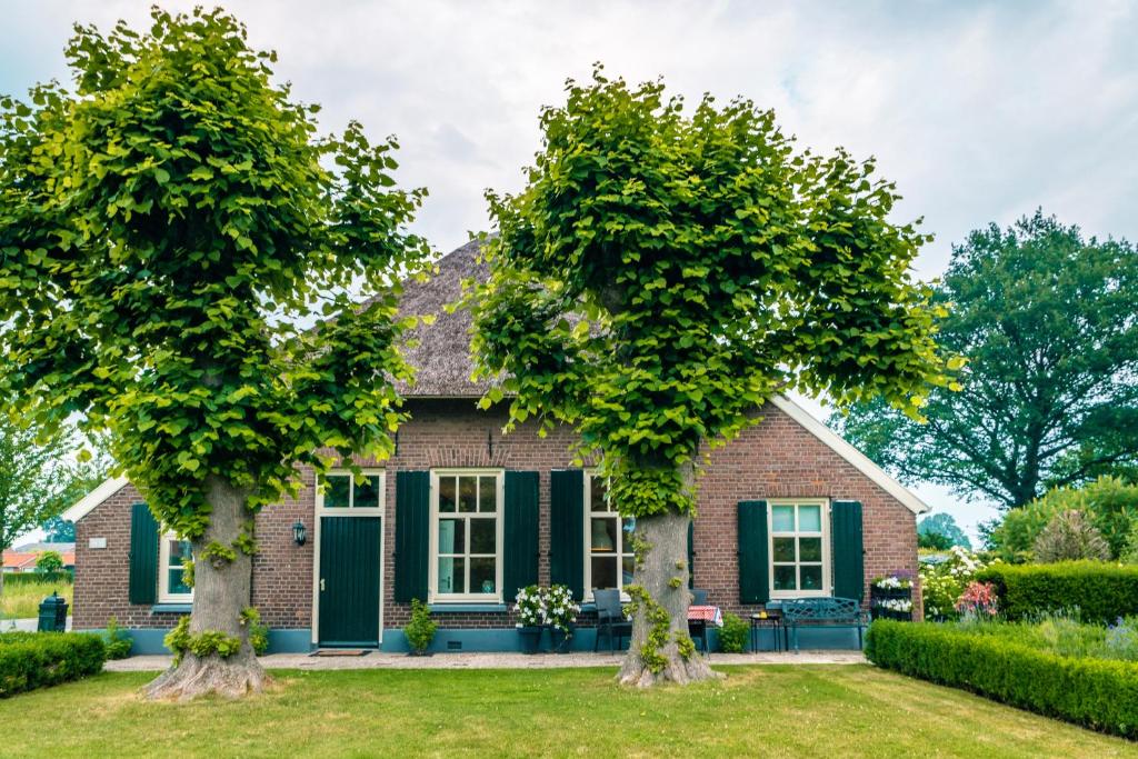 霍尔滕Woonboerderij Dijkerhoek的两棵树在房子前面
