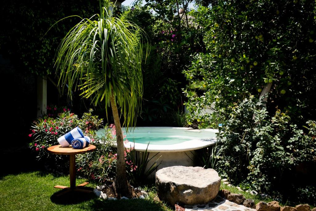 马利纳尔科天堂精品酒店及酒廊的棕榈树坐在一个小泳池旁