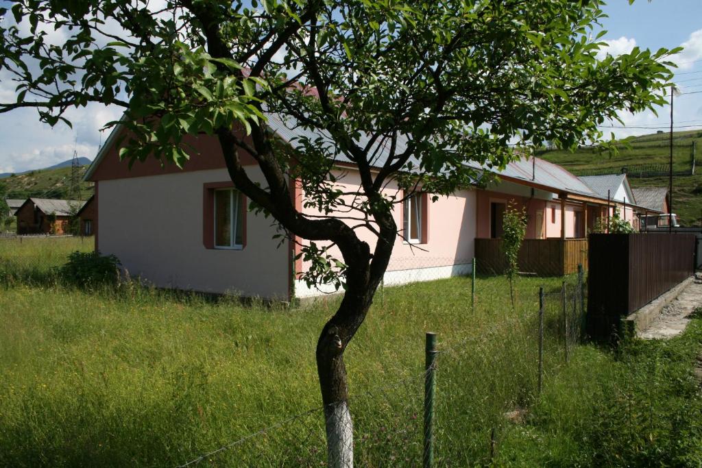 科洛恰瓦Котедж Ялівець的房子前面的小树