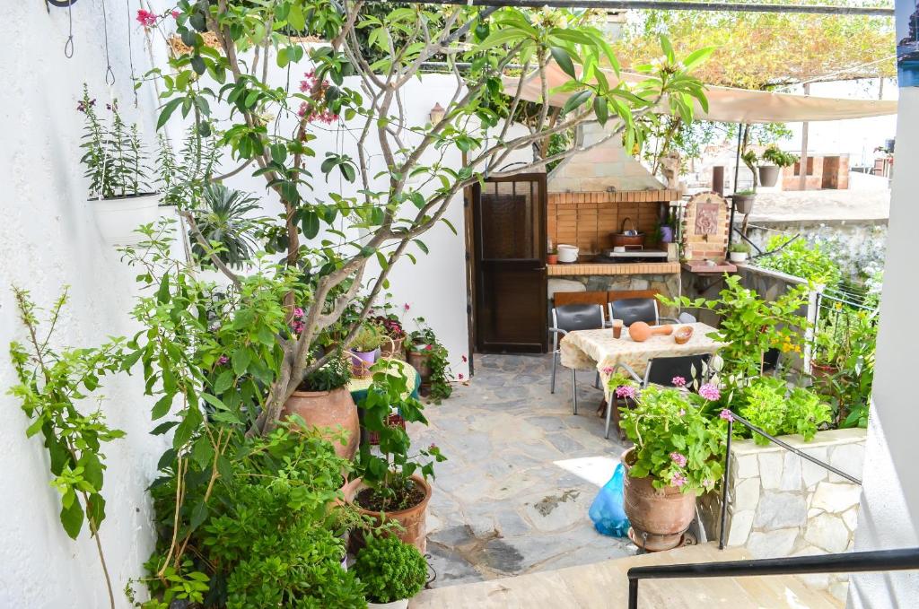 圣加利尼卡利皮索公寓的一个带盆栽和桌子的庭院