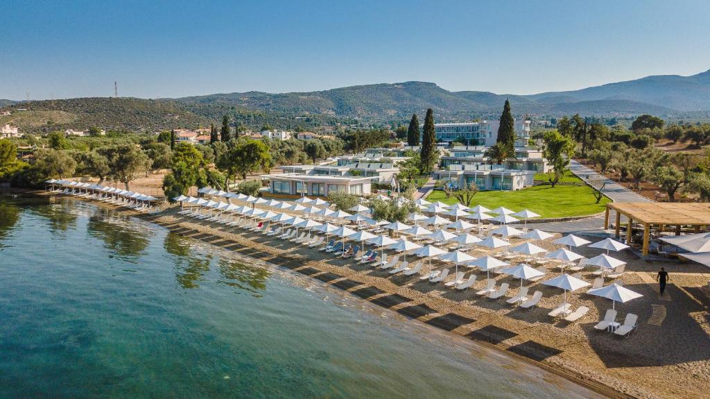 埃雷特里亚Amaronda Resort & Spa Eretria的享有带椅子和遮阳伞的度假村的空中景致