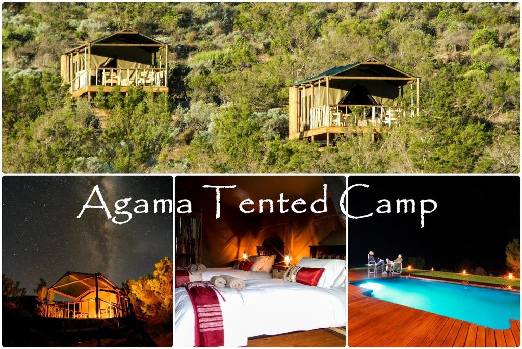 GariesAgama Tented Camp的帐篷营地和游泳池的照片拼凑而成