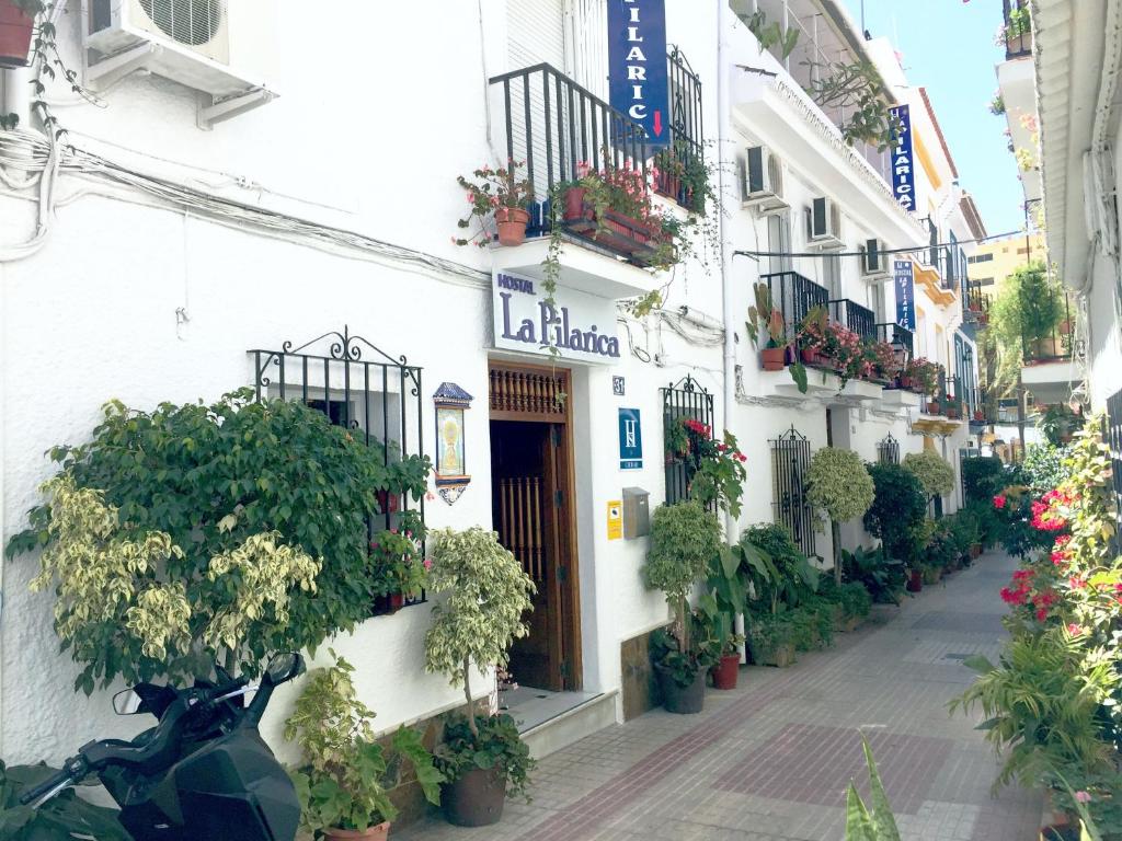 马贝拉皮拉丽卡酒店的一条在建筑物一侧有植物的街道