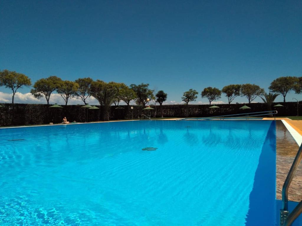 拉卡尔洛塔卡洛斯三世露营酒店的一个种有树木的大型蓝色游泳池