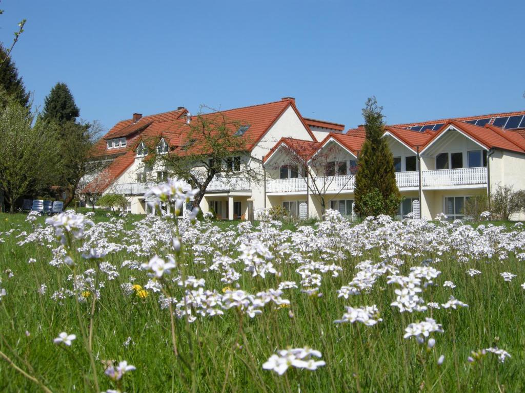 巴特德里堡Gästehaus Steker的房屋前方的白色花田
