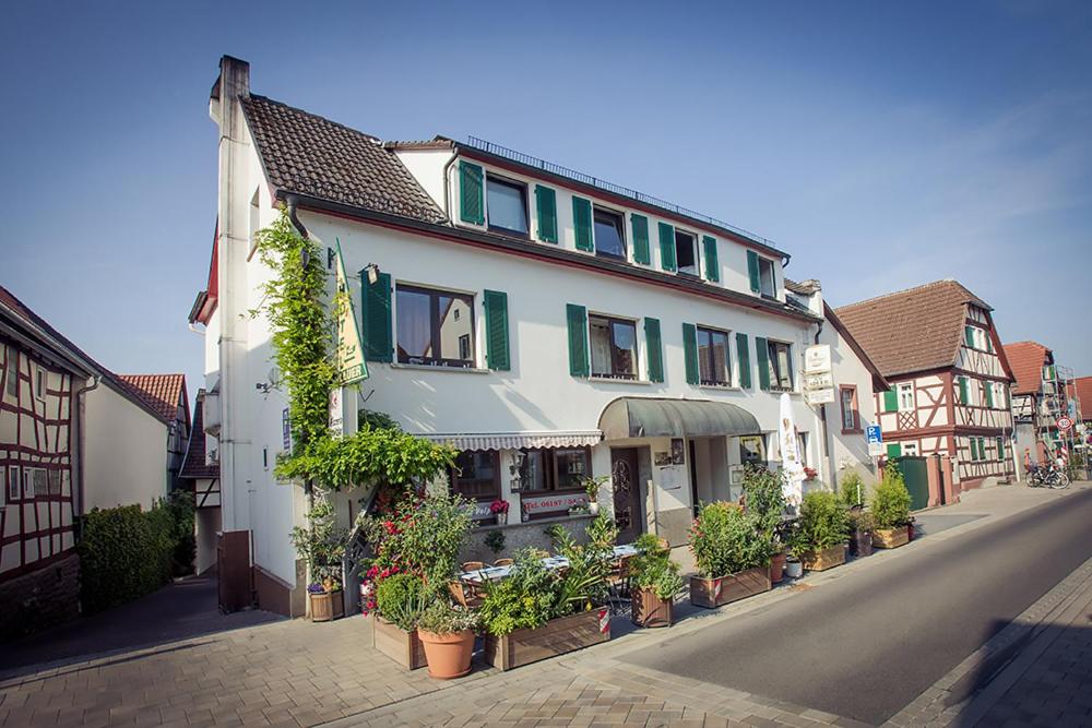 Schoneck劳尔酒店的街道边有盆栽植物的建筑物