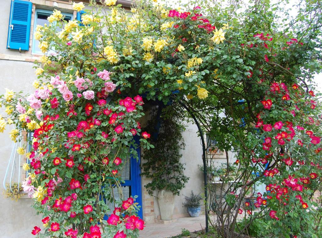Monterubbiano文托罗斯住宿加早餐旅馆的一座建筑里一束鲜花,有一扇蓝色的门