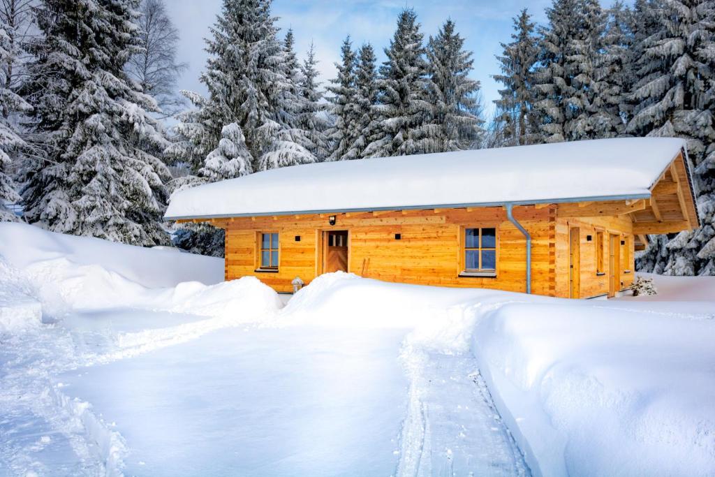 毛特Das Wistlberg Wohlfühlchalet的雪地小木屋