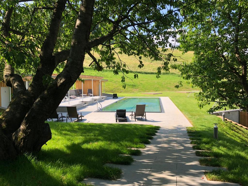 加姆利茨eckbergerhof的一个带游泳池和树的庭院